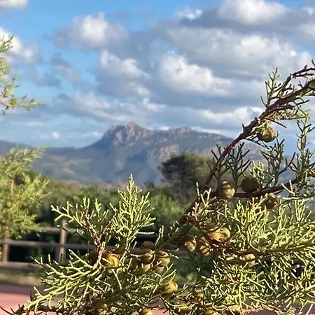 アパート Befree Viddalba Lu Razzoni